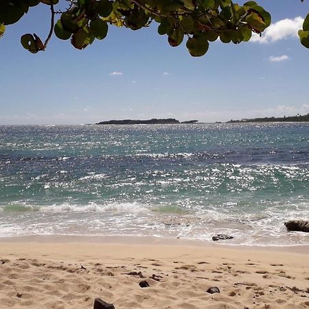 Fleur Des Caraibes Apartment แซ็งแตนน์ ภายนอก รูปภาพ