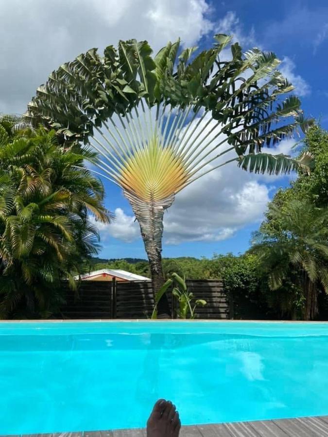Fleur Des Caraibes Apartment แซ็งแตนน์ ภายนอก รูปภาพ