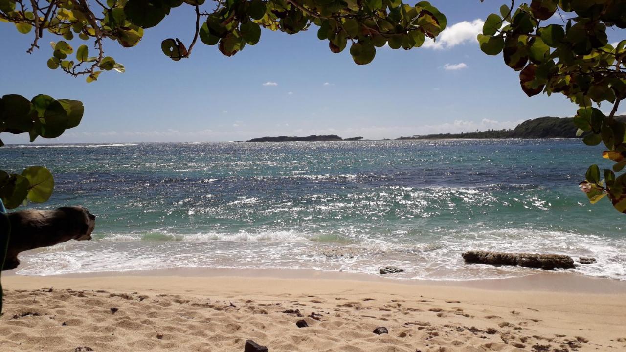 Fleur Des Caraibes Apartment แซ็งแตนน์ ภายนอก รูปภาพ
